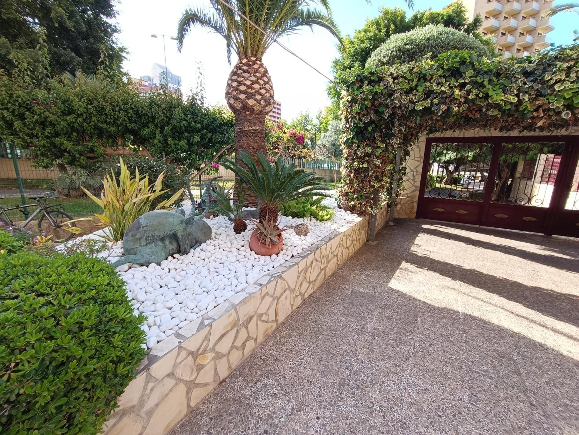 Mobydick 5 Apartment Benidorm Exterior photo